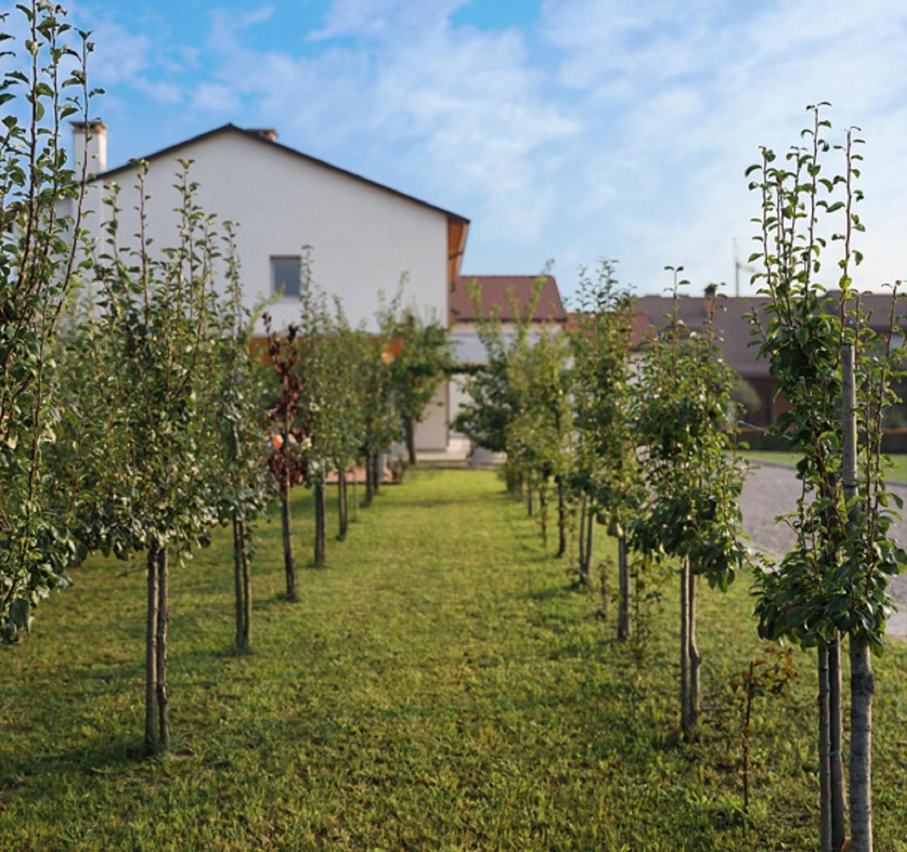 Vila Agriturismo Corte Foscara Malcontenta Exteriér fotografie